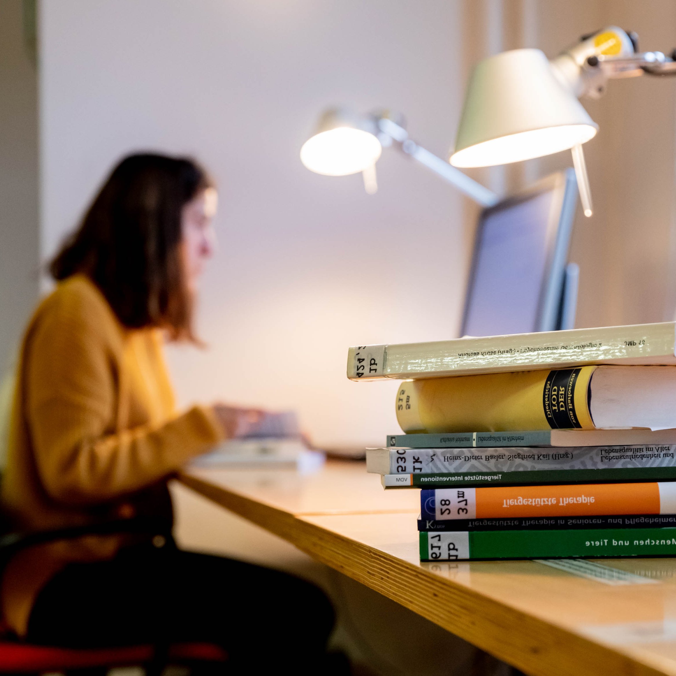 Das Foto zeigt einen Arbeitsplatz in der Bibliothek des DZA, mit Lampe, Laptop, hohem B&uuml;cherstapel auf der Arbeitsfl&auml;che 